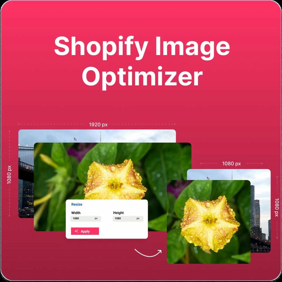 Free Unlimited Image Compression and Optimization for Shopify Images